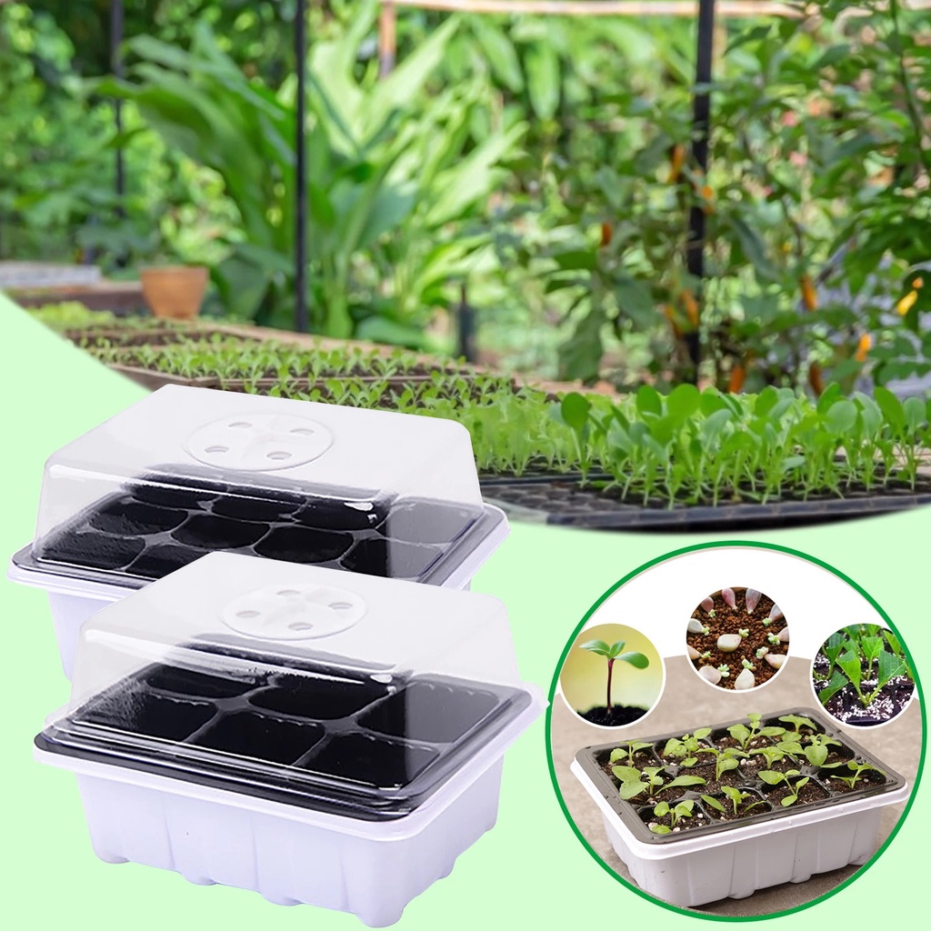 Hộp Nhựa Ươm Hạt Giống 6 / 12 Ngăn Tiện Lợi