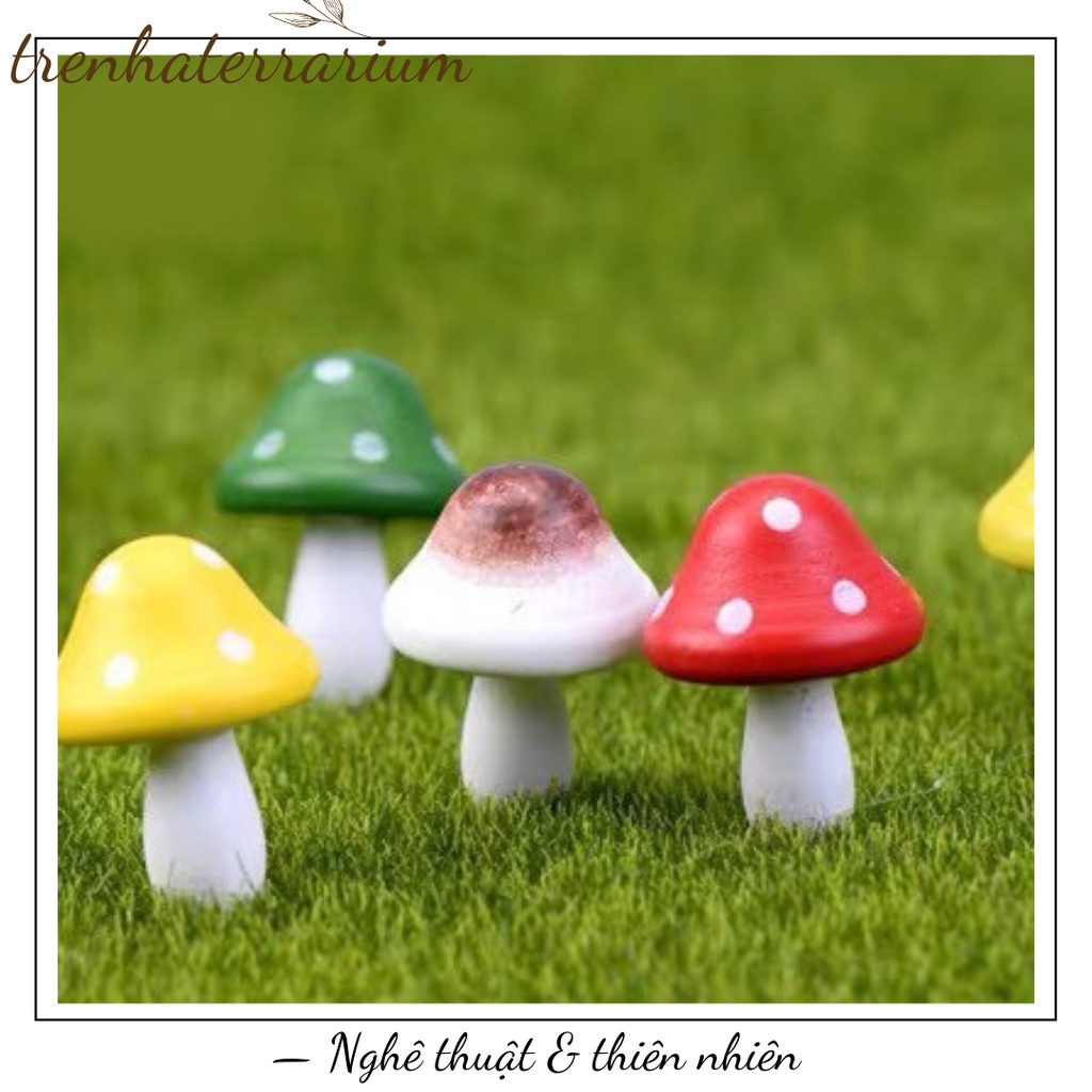 Tiểu cảnh nấm gỗ trang trí sen đá, xương rồng, terrarium, charm slime, cây cảnh mini, cây để bàn