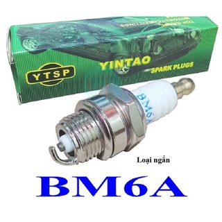 Bugi Yintao cho máy cắt cỏ, máy bơm nước, máy phát điện loại xịn