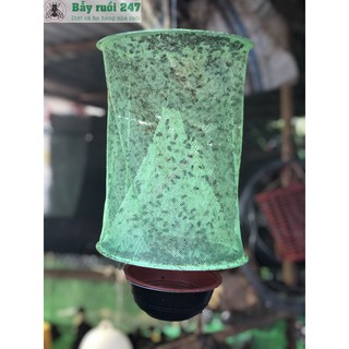 Lồng Bẫy Ruồi 247 - Bẫy bắt ruồi hiệu quả, Tiết Kiệm Chi Phí, Không Hóa Chất
