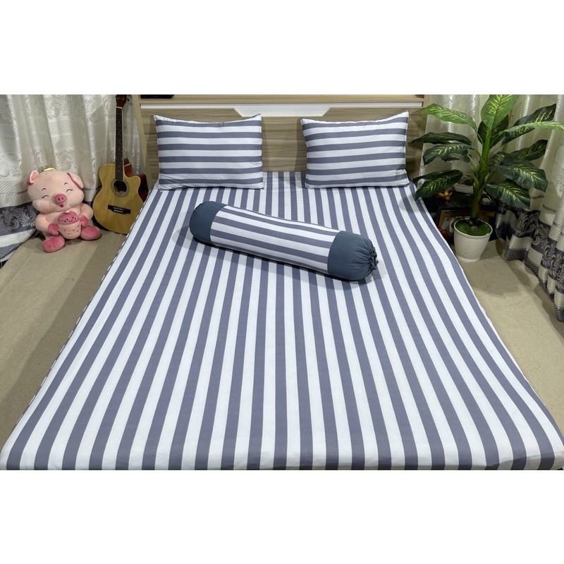 Bộ drap thun hàn quốc 4 món mát mịn mẫu kẻ sọc 5 màu siêu xinh