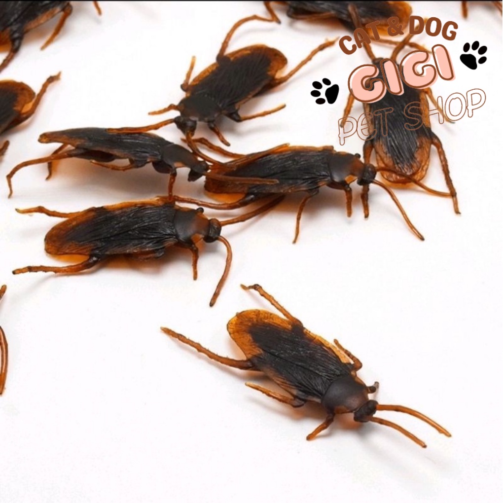 Gián đồ chơi cho thú cưng chó mèo giả trí phụ kiện được mô phỏng như thật - GiGi Pet Shop