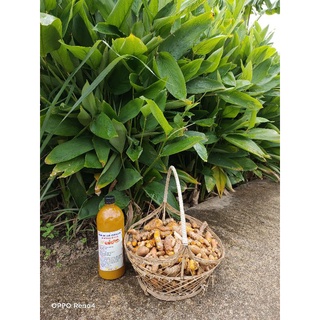 Củ nghệ nhà trồng tươi tốt nhỏ đặc ( hơ mặt sau sinh).