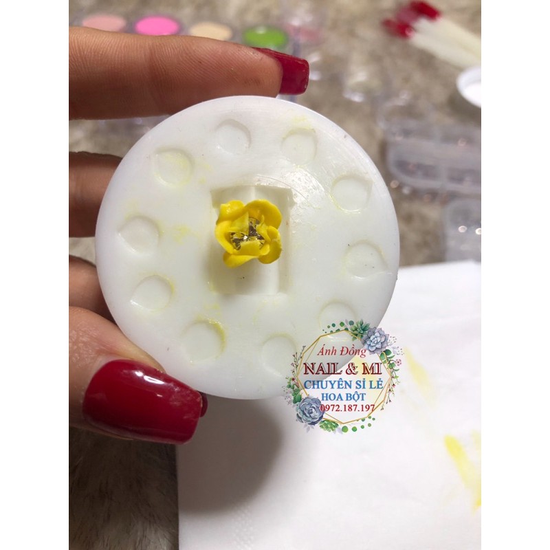 Khuôn hoa bột nail