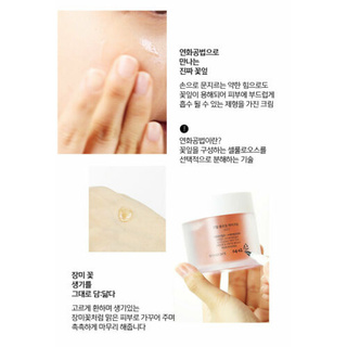 Sữa Dưỡng Hoa Hồng nacific 100ml