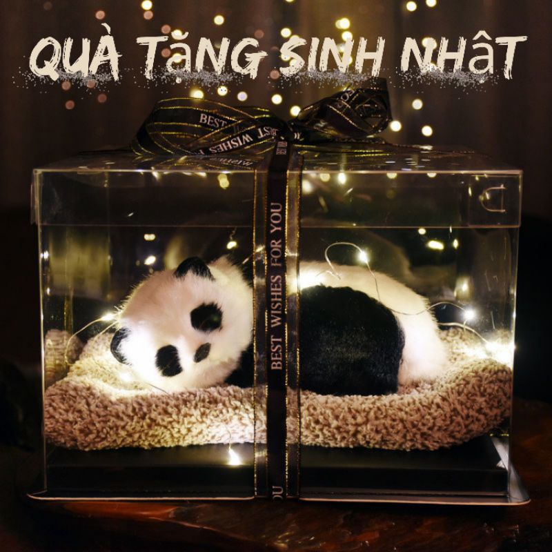 Quà tặng sinh nhật decor phòng ngủ nam nữ size lớn MNB2011