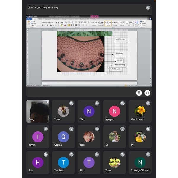 NNO COLLAGEN gold Viên uống sáng da hộp 30 viên