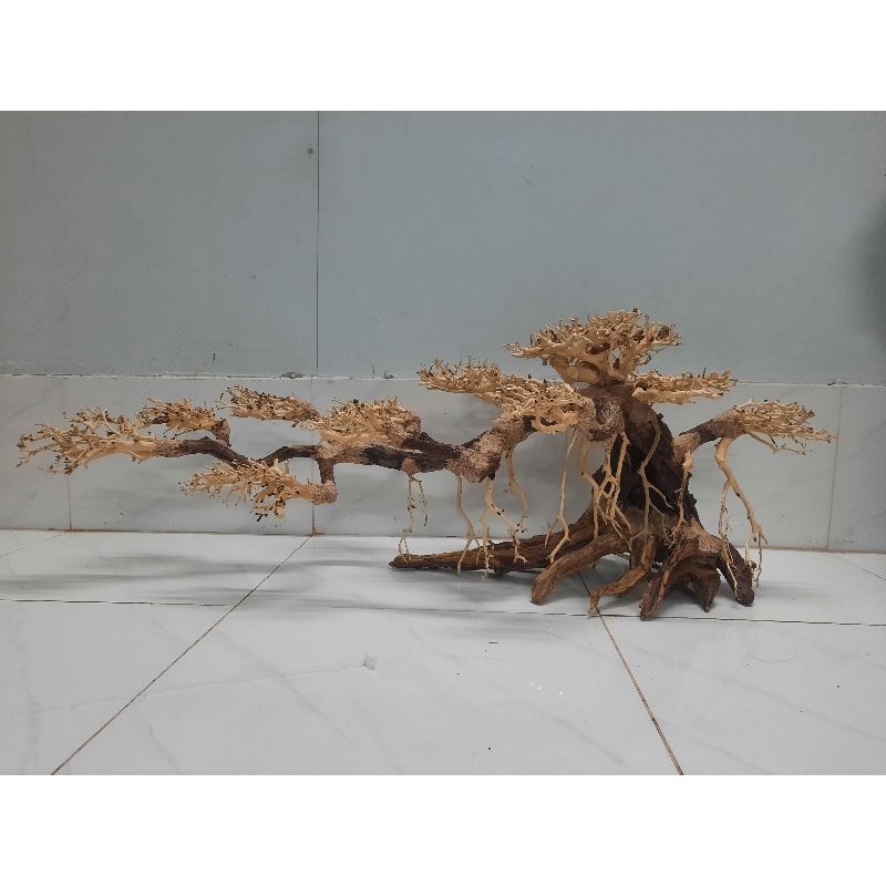Lũa bonsai số 8