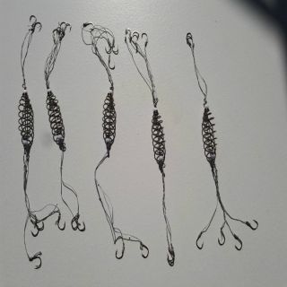 Lò xo lăng xê tóm lưỡi