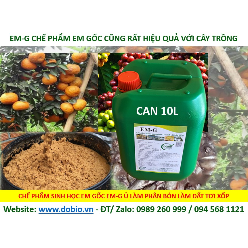 EM Gốc Can 10 lít, Chế Phẩm Vi Sinh EM Gốc, EM1, Địa Chỉ Cung Cấp Mua Bán Chế Phẩm Vi Sinh EM Gốc