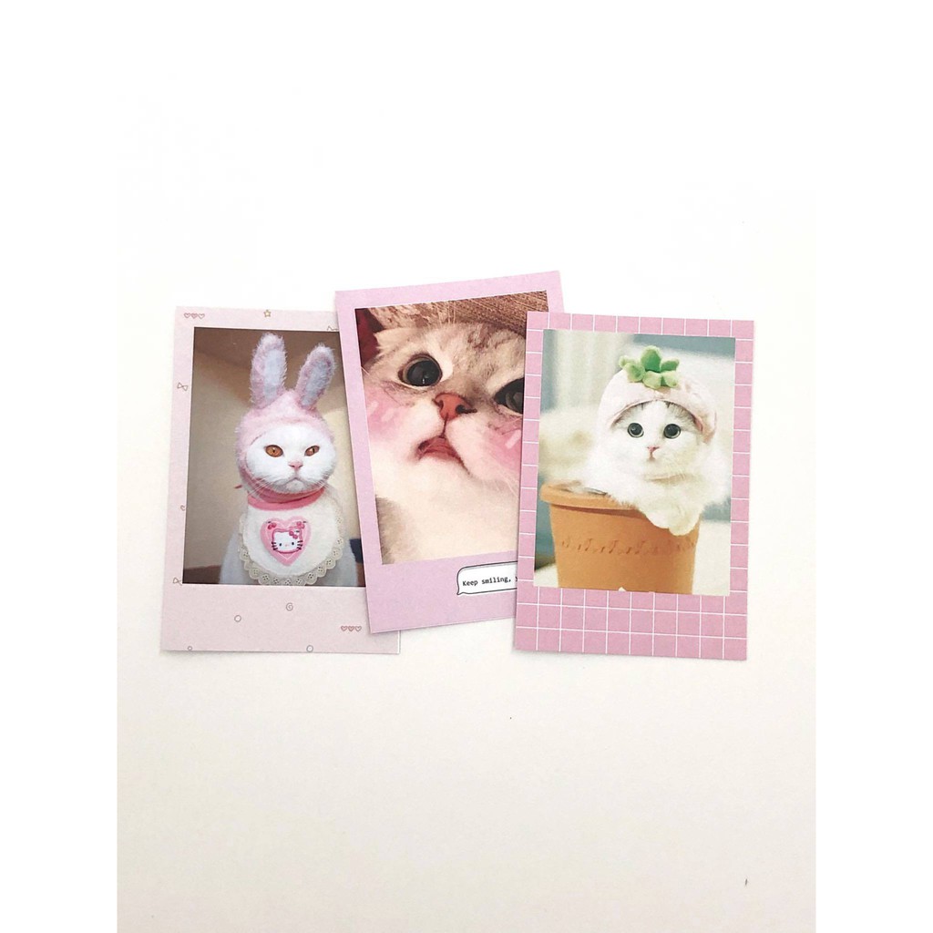 In Ảnh Polaroid Theo Yêu Cầu - Ảnh Viền Hoa