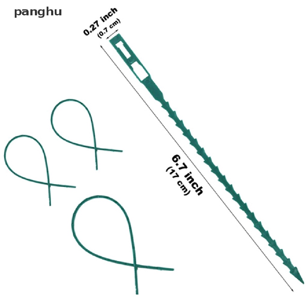 Bộ 50 Nhựa Có Thể Tái Sử Dụng