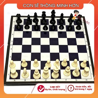 Cờ Vua Quốc Tế Có Nam Châm Và Hộp Đựng Sato Hàng Việt Nam Cờ Vua - Cờ Cá Cựa - Cờ Tỷ Phú