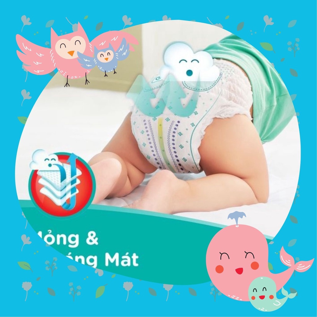 Bỉm Pampers Quần  Giữ Đang Mới Gói Cực Đại M74/L68/XL62/XXL56 - M60/L54/XL48/XXL44