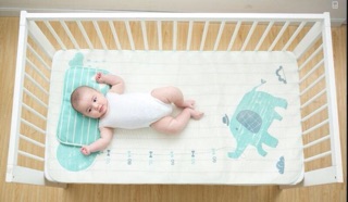 Chiếu lụa điều hoà kèm gối cho bé