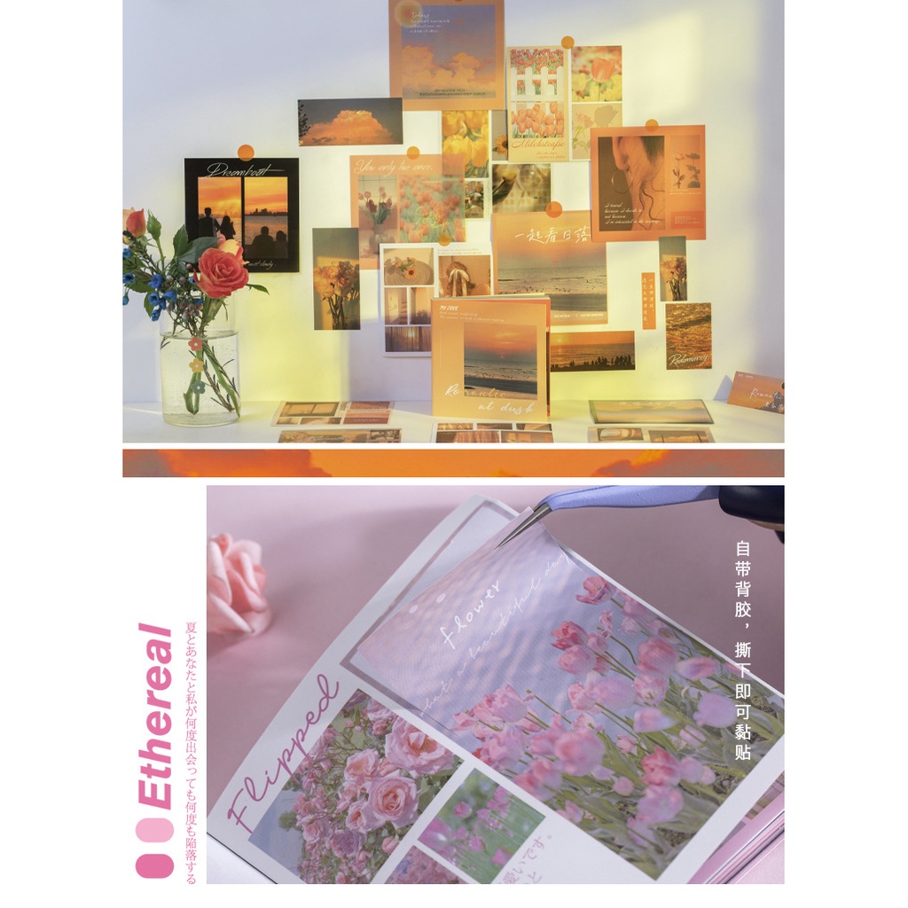 Tập sticker 50 tấm MIAO'S LITTLE FOREST bộ 50 hình dán ảnh phong cách aesthetic trang trí sổ tay bullet journal MST2208