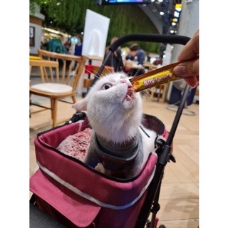 Súp thưởng Ciao Churu cho mèo 😻