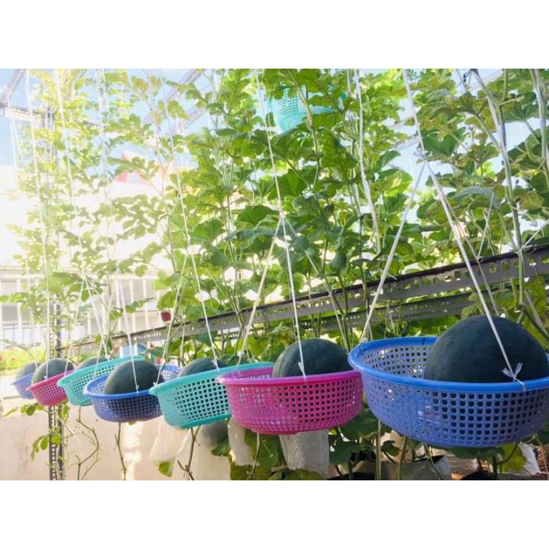 Muối Epsom Salts nhập khẩu bỉ. Muối tắm,muối dùng cho Phòng thí nghiệm