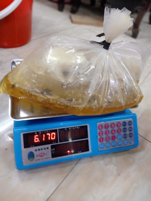 Mật ong 🍯 khoái rừng Hoàng Liên  chai 1 lít - bao test (cam kết hàng chuẩn rừng 100%)