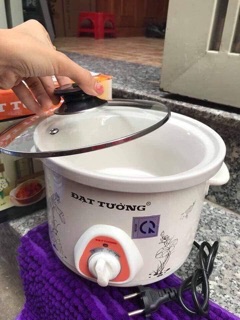 Ruột nồi nấu cháo chậm Đạt Tường