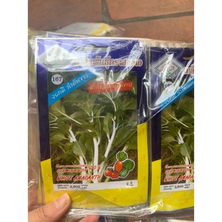 Hạt Giống Rau Rền Cơm | Shopee Việt Nam