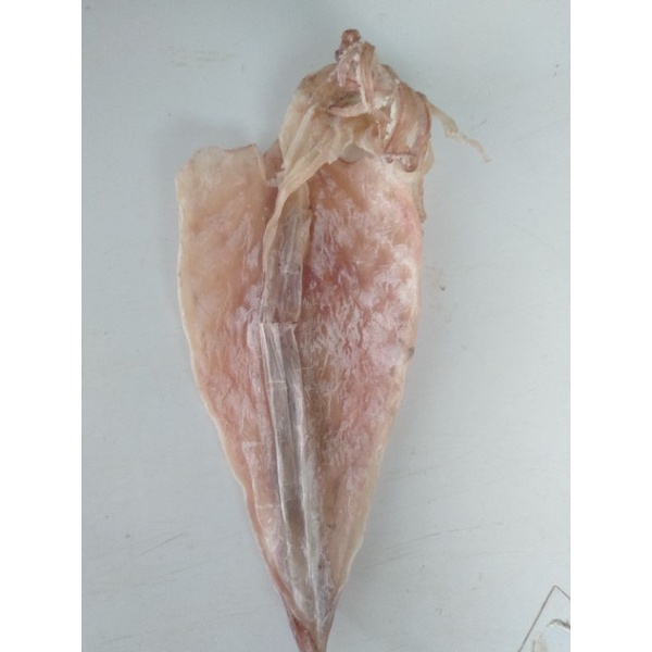 mực khô to 1 con