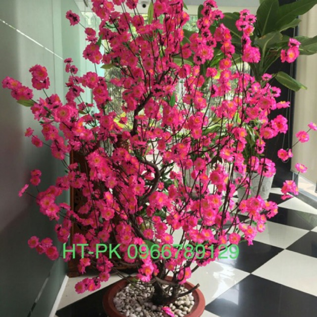 COMBO 1kg hoa + 0,5kg kẽm