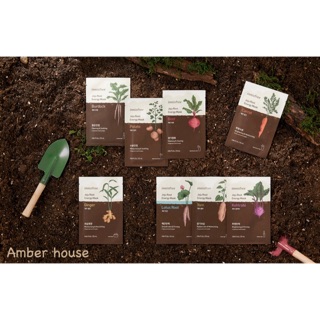 Mặt nạ tinh chất củ/rễ cây Innisfree