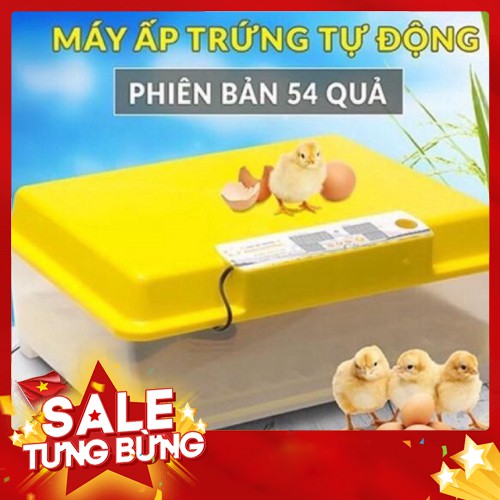 [ GIẢM GIÁ ] Máy ấp trứng lắp hoà thiện 54 trứng