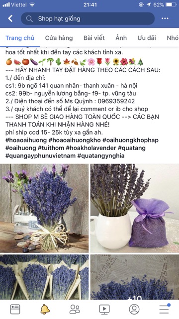 Hoa oải hương pháp