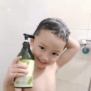 Dầu gội amla