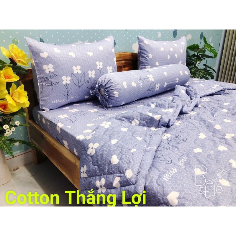 Áo Gối Cotton Thắng Lợi in logo( đủ kích thước, Ib chọn mẫu)