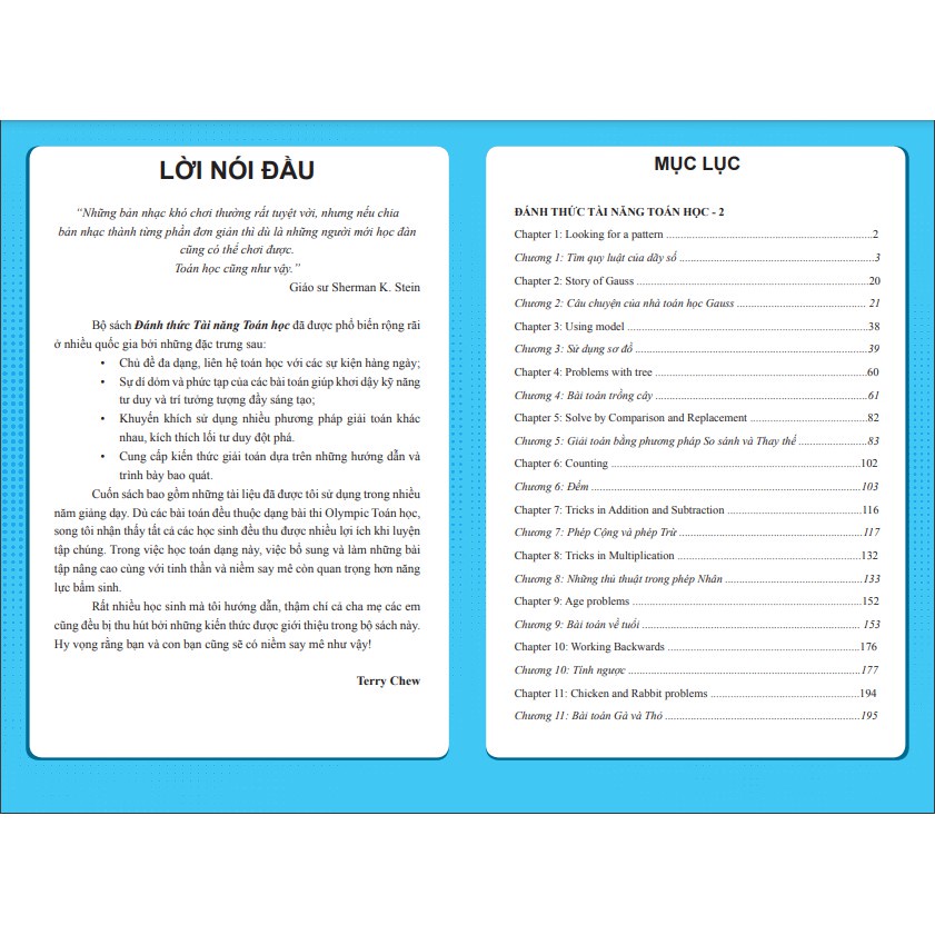 Sách - Đánh Thức Tài Năng Toán Học 2 ( Dành Cho Trẻ Từ 8 - 9 tuổi )