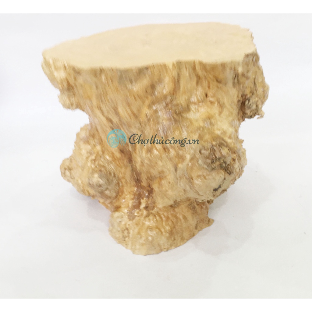 Đôn gỗ hình dáng độc đáo - Khúc gỗ lũa tự nhiên nu cà phê, KT lớn làm đôn kê, bàn, ghế, trang trí, decor