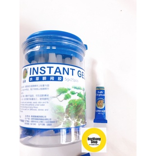 1 Hộp Keo Dán Rêu Thủy Sinh 5g (25 Tuýp) , Dán Đá, Dán Lũa, San Hô, Thực Vật Thủy Sinh, Có Thể Dán Trực Tiếp Dưới Nước