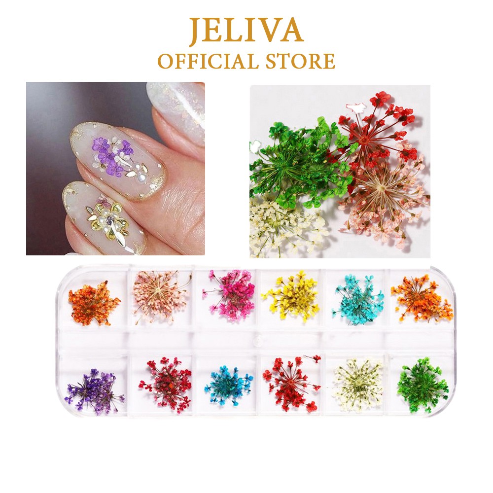 Hoa khô nail trang trí móng cánh nhỏ JELIVA 12 màu