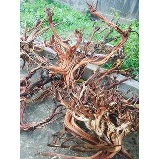 lũa Kim Sa Tùng.trang trí bể cá 1kg