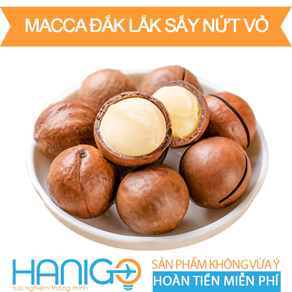 Hạt Macca Đắc Lắc Sấy Nứt Vỏ Ăn Liền- 500Gr- HANIGO FOOD