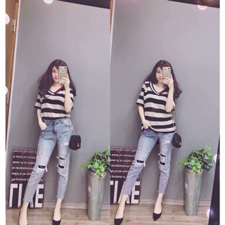 Áo len mỏng