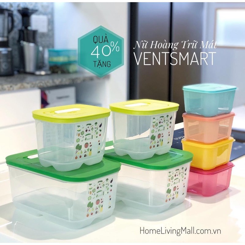 Tupperware - Bộ 4 hộp trữ mát cao cấp vensmart tặng 4 hộp đông rainbow