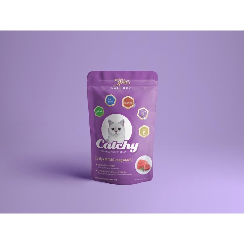 Pate Catchy 5 plus dành cho mèo, thức ăn dạng ướt cho mèo nhiều vị 70g