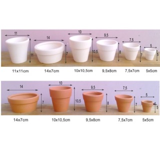 Combo 50 chậu loại 7*7 cm