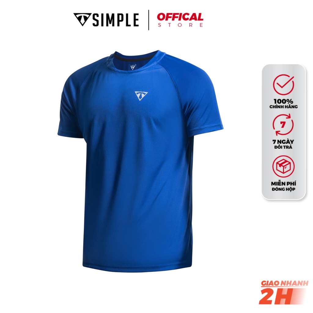 Áo Thể Thao Nam TSIMPLE cổ tròn tay ngắn tập gym vải thun lạnh thoáng mát co giãn chuẩn form AHRBC | BigBuy360 - bigbuy360.vn
