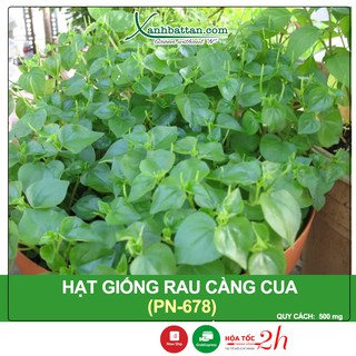 Hạt Giống Rau Càng Cua Phú Nông Gói 500 mg