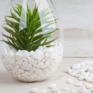 2kg Sỏi Trắng Trang Trí Bể Cá, Chậu Cây