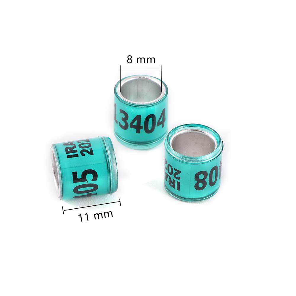 Bộ 50 Vòng Gắn Chân Chim Bồ Câu 8mm Nhiều Màu Sắc Kỹ Thuật Số 2024