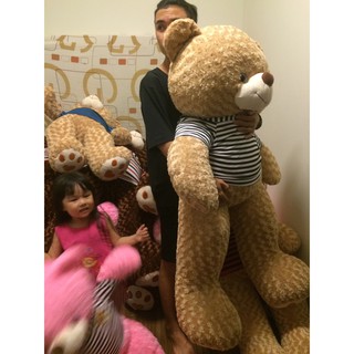 Gấu Teddy 1m6 - Gấu bông Cafe sữa khổ m6