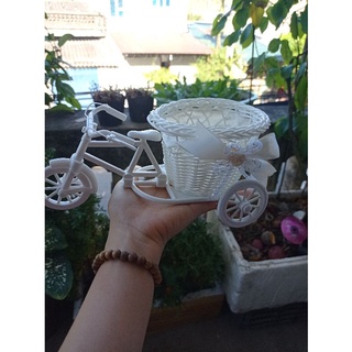 xe đạp giỏ hoa