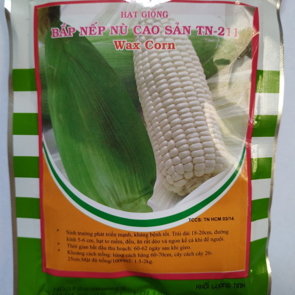 SIÊU RẺ - Bán Hạt giống BẮP NẾP NÙ CAO SẢN TN-211 ( Wax Corn ) nhập khẩu hàng chuẩn. hàng nhập khẩu.