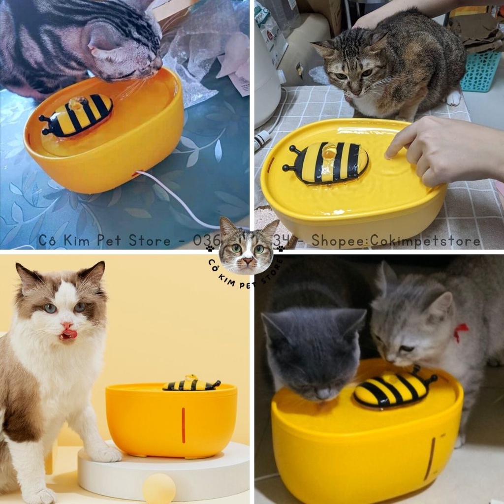 Máy lọc nước cho mèo hình chú ong dung tích 2000ml